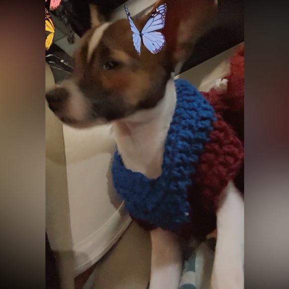 XSmall Dog Rainbow Crochet Sweater Dress HandMade - Picture 4 of 5